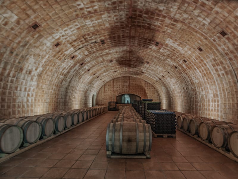 Bodega y barricas. bodegas el mesto