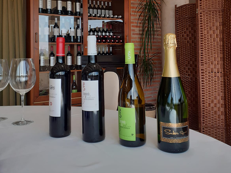 vinos bodegas el mesto