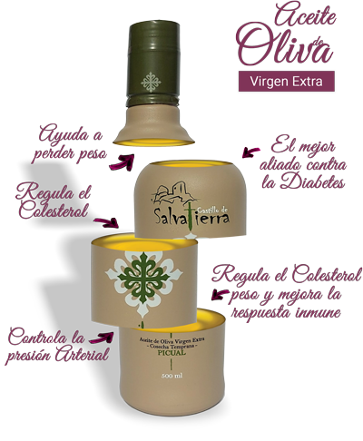 concurso bodegas el mesto