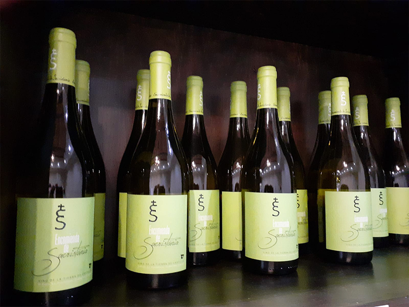 vinos blancos bodegas el mesto